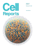 17.	Medical Research on Stem Cell Reports