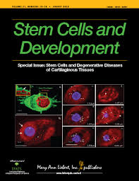 29. Stem Cells and Development and Medical Research on Stem Cells 