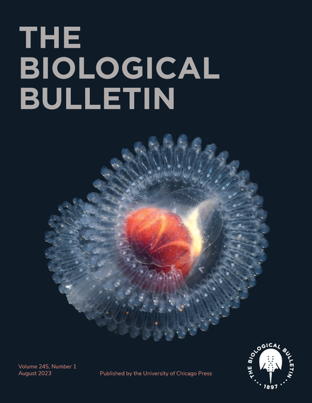 Bulletin of Experimental Biology and Medicine and Medical Research on Stem Cells 