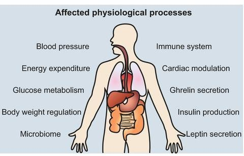 Physiological processes refer to the various biological and biochemical activities that occur within living organisms, enabling them to maintain life, grow, and respond to their environment. 