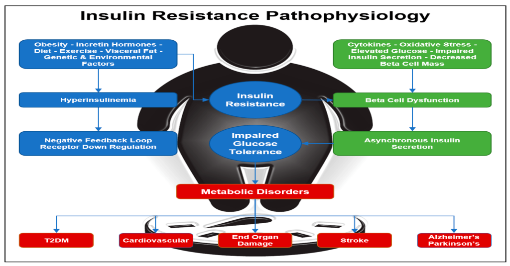 Insulin resistance (IR) is a condition in which the body's cells become less responsive to the hormone insulin. 