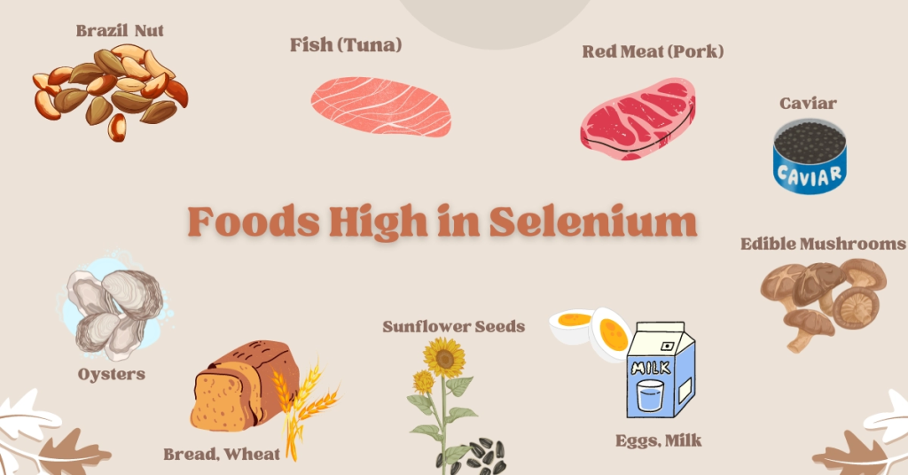 Selenium is a trace mineral that is essential for human health. It plays a crucial role in various bodily functions, including antioxidant defense, thyroid hormone metabolism, and immune system function.