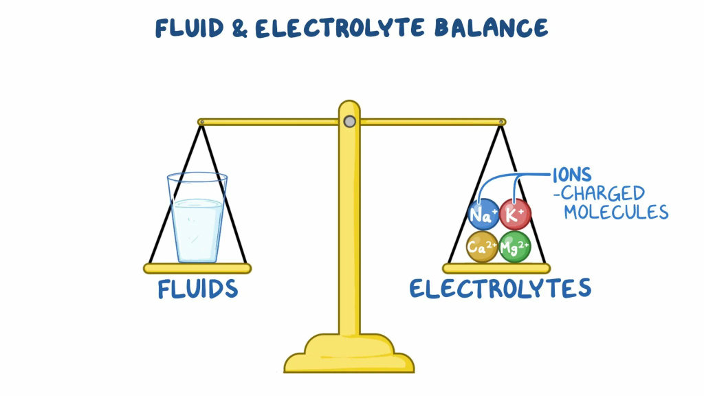 Electrolyte balance refers to the proper regulation of electrolytes—charged minerals in the body—essential for various physiological functions. Maintaining this balance is crucial for overall health, as electrolytes play vital roles in processes such as hydration, nerve function, muscle contraction, and acid-base balance.