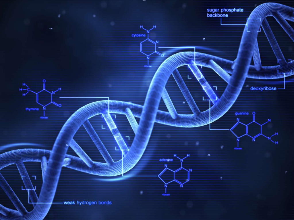 Deoxyribonucleic acid (DNA) is the molecule that carries genetic information essential for the development, functioning, growth, and reproduction of all known organisms and many viruses.