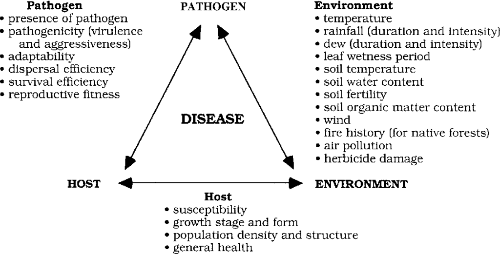 Disease development refers to the complex process through which a disease progresses from its initial cause or trigger to its manifestation and progression within an organism. 