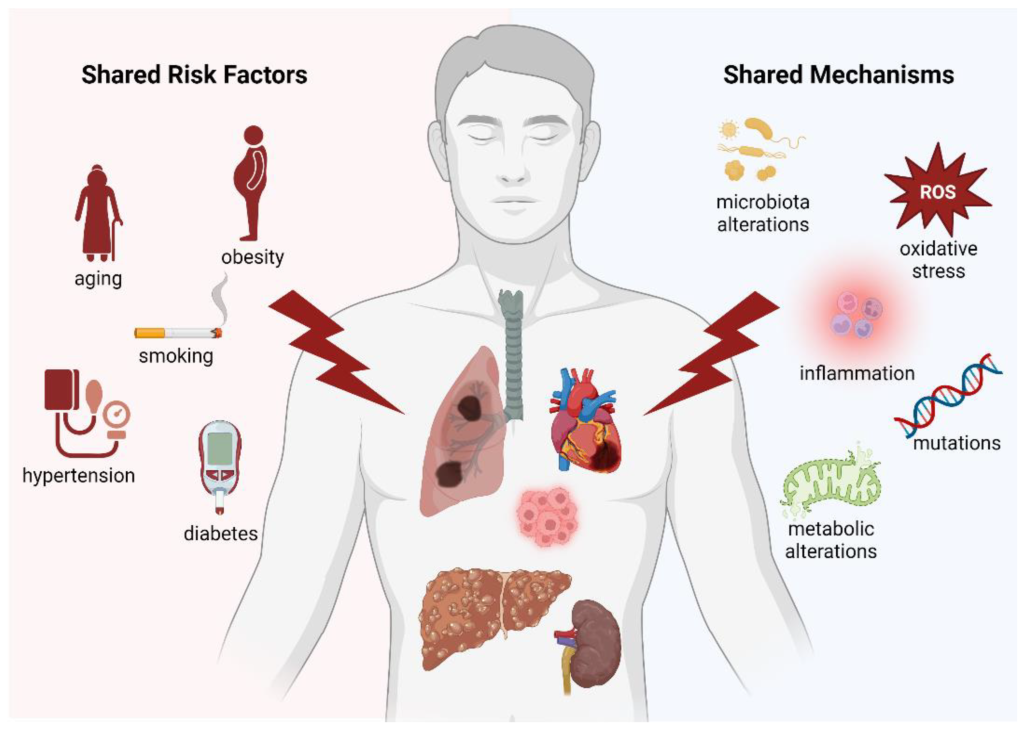 The multifactorial nature of a disease refers to the concept that the development and progression of a disease are influenced by multiple factors, rather than a single cause. These factors can be genetic, environmental, behavioral, and biological, and they interact in complex ways to contribute to the onset and severity of diseases.