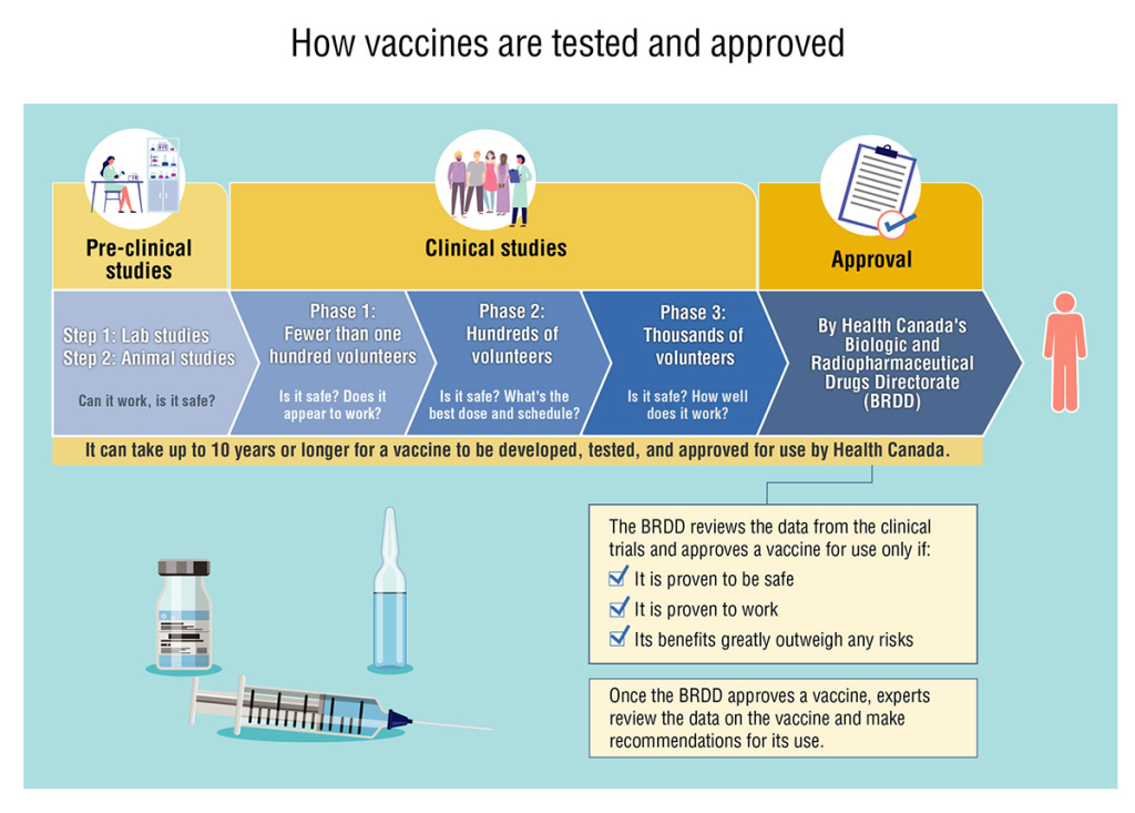 Vaccine development is a complex and systematic process that involves the research, design, testing, and approval of vaccines aimed at preventing infectious diseases. 