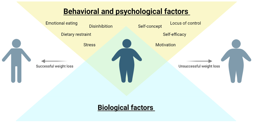 Behavioral factors refer to the actions, habits, and patterns of behavior that individuals exhibit, which can significantly influence their health and well-being.