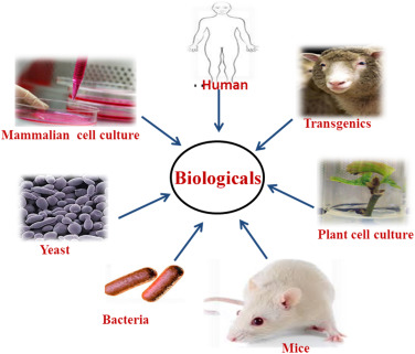 Biological products, often referred to as biologics, are a broad category of medical products derived from living organisms or contain components of living organisms. 