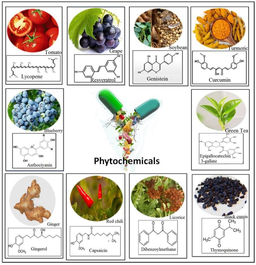 Phytochemicals are naturally occurring compounds found in plants that contribute to their color, flavor, and disease resistance.