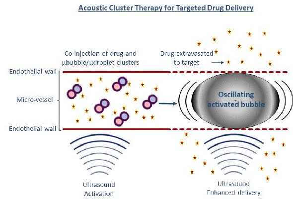 Magnetic Targeting: Magnetic guidance techniques involve labeling stem cells with magnetic nanoparticles, allowing for external magnetic fields to guide cells to the desired cardiac region, enhancing localization and retention.