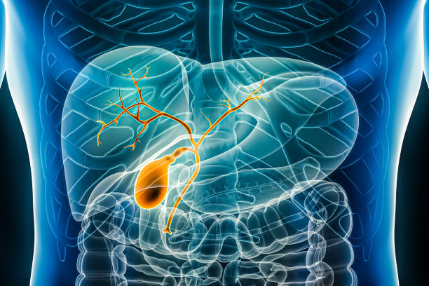 Stem cell clinical trials and Hepatobiliary System