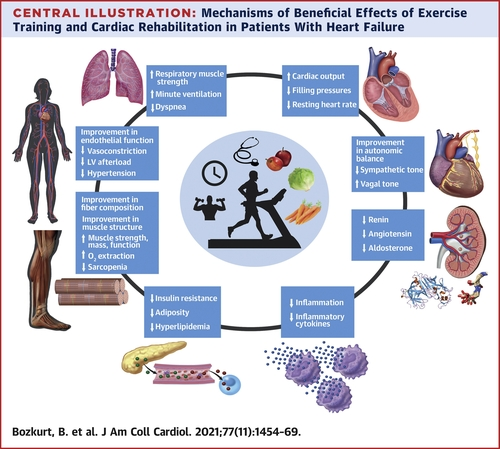 cardiac rehabilitation by our team of Regenerative Cardiologists for heart patients after receiving our Cellular Therapy and Stem Cells for Heart Diseases at our DrStemCellsThailand's Anti-Aging and Regenerative Medicine Center of Thailand