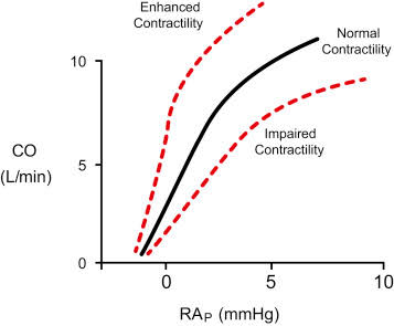 Enhanced Cardiac Function: Cellular Therapy and Stem Cells for Heart Diseases have the potential to repair damaged cardiac tissues, improve myocardial contractility, and enhance overall heart function. 