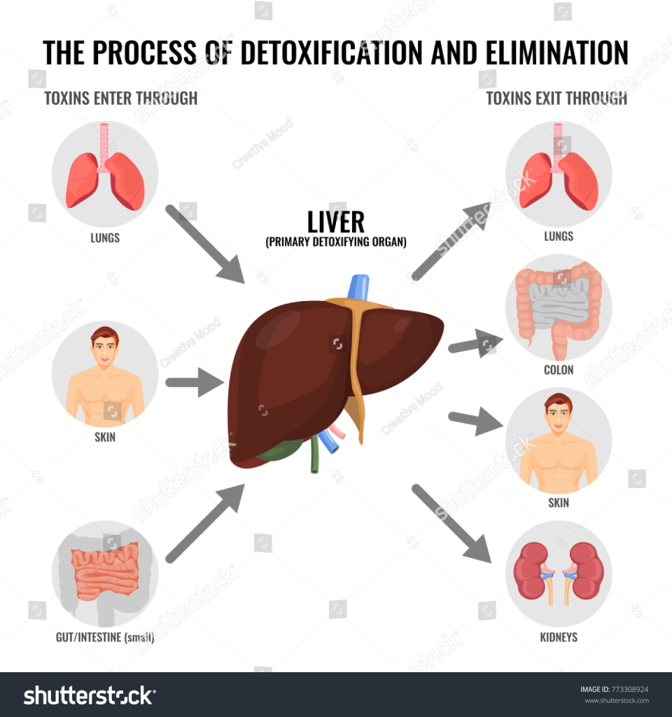 Detoxification refers to the physiological or medicinal process of removing toxic substances from the body. 