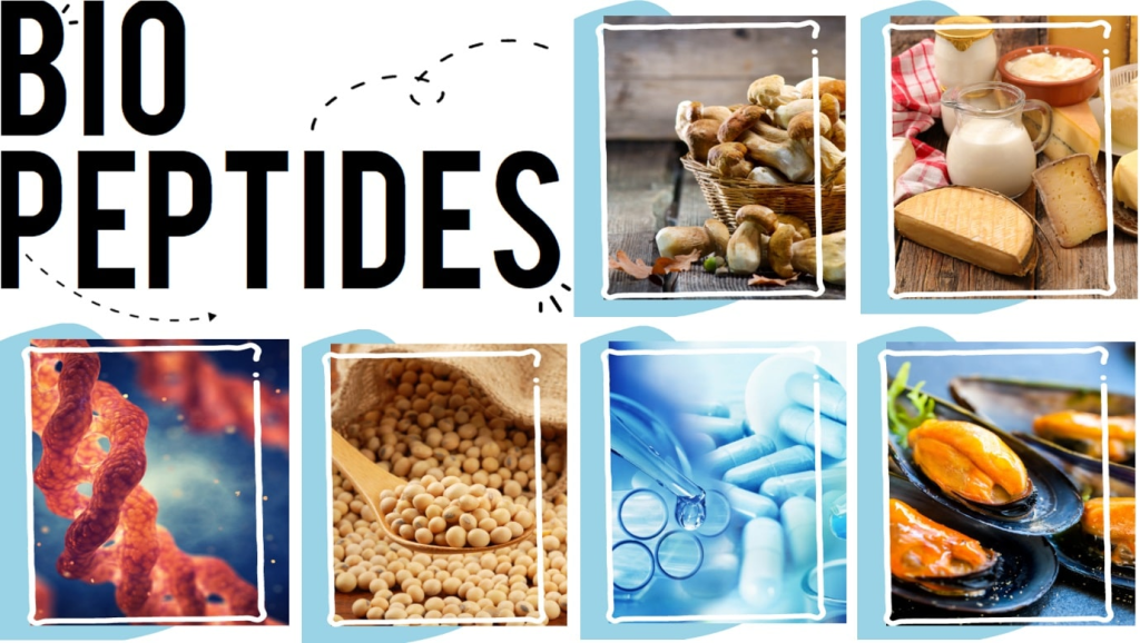 Peptides are short chains of amino acids linked by peptide bonds. They play vital roles in various biological processes and are fundamental components of proteins.