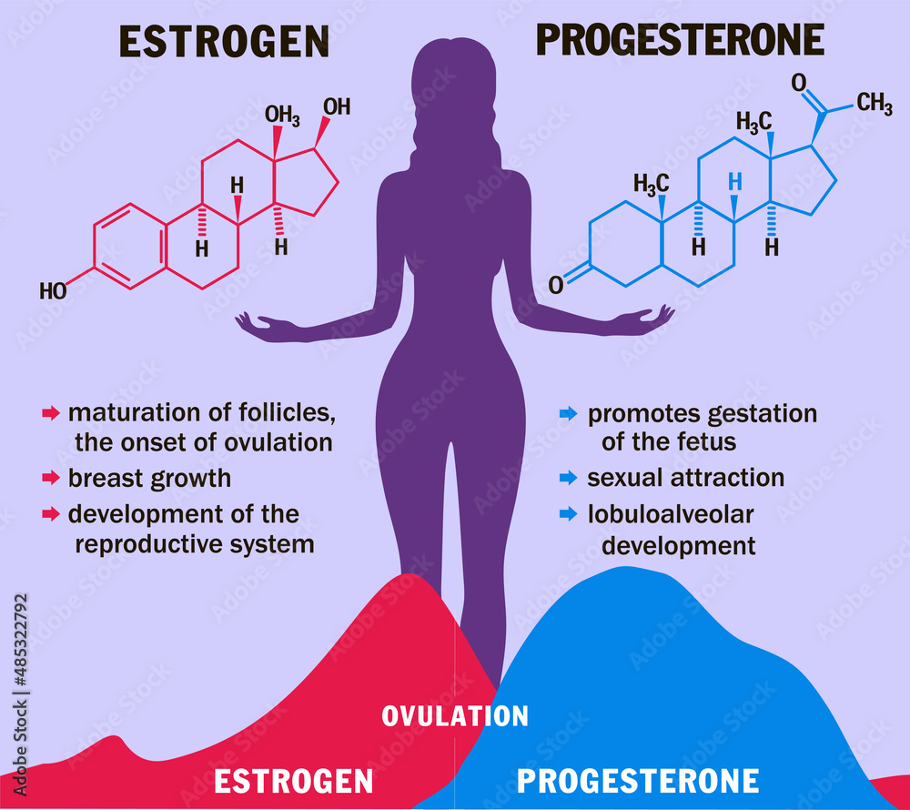 Progesterone is a steroid hormone produced primarily by the ovaries, the placenta during pregnancy, and in smaller amounts by the adrenal glands.