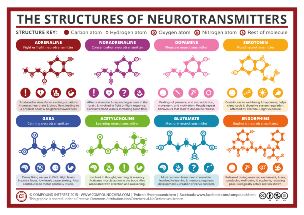 Neurotransmitters (NT) are chemical messengers that transmit signals across synapses from one neuron to another or from neurons to muscles and glands.