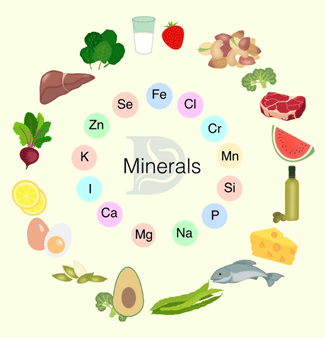 Essential minerals are inorganic nutrients that play crucial roles in various physiological processes within the body. 