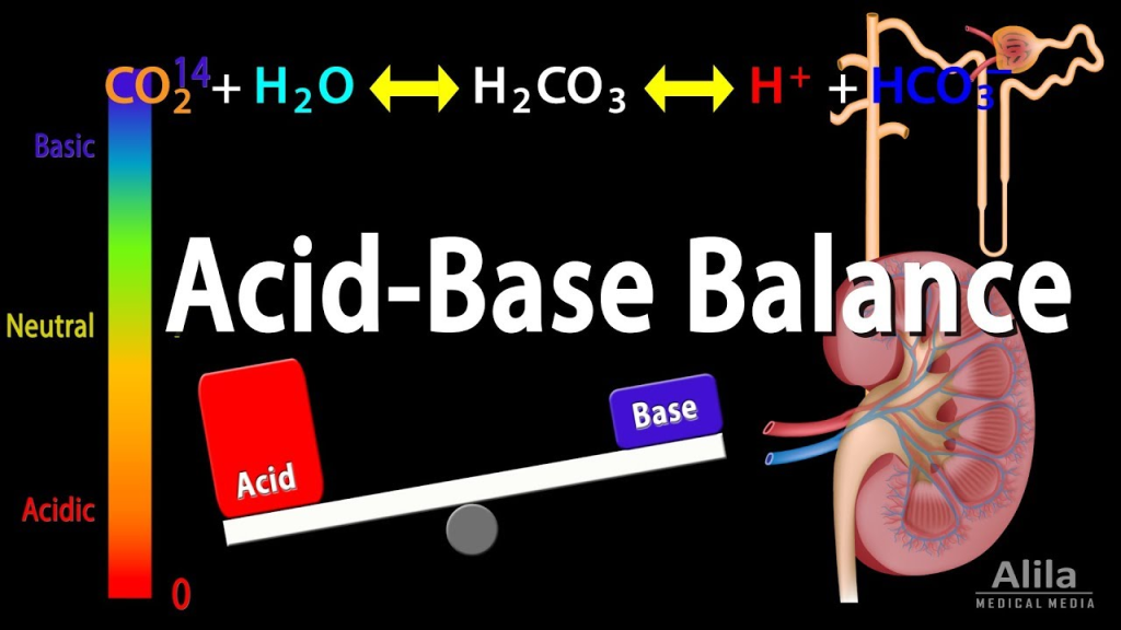 Acid-base balance refers to the mechanisms the body uses to maintain the pH of its fluids within a narrow range, typically between 7.35 and 7.45.