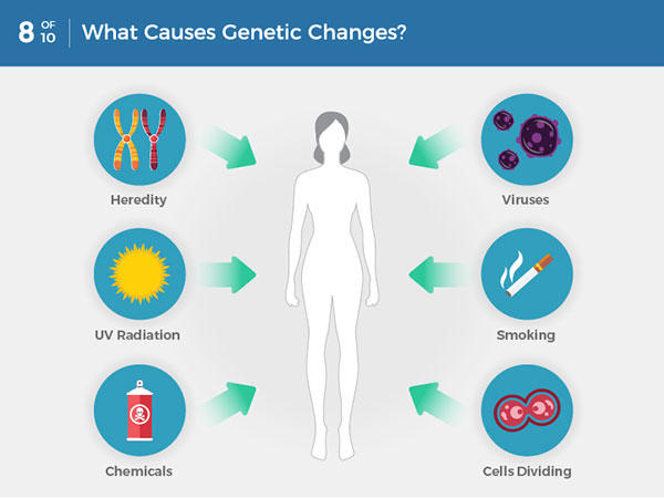 Genetic factors are the specific genes and genetic variations that contribute to the inheritance of traits and the development of certain conditions in organisms.