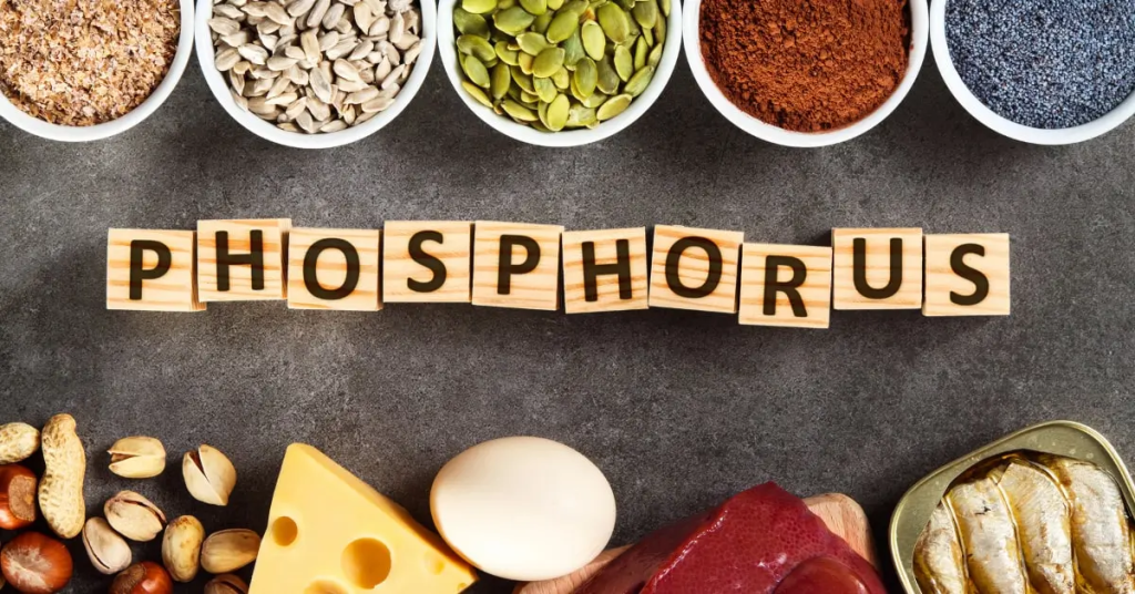 Phosphorus is a vital mineral and essential nutrient that plays a crucial role in various biological processes