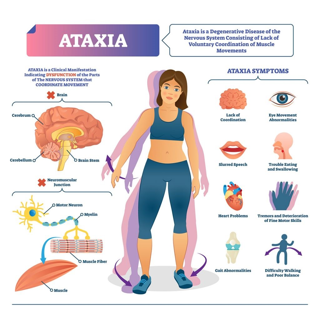 Cellular Therapy and Stem Cells for Brain, Spinal Cord and Neurodegenerative Diseases : Cerebellar Ataxia