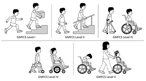 Cellular Therapy and Stem Cells for Brain, Spinal Cord and Neurodegenerative Diseases : Cerebral Palsy (CP)