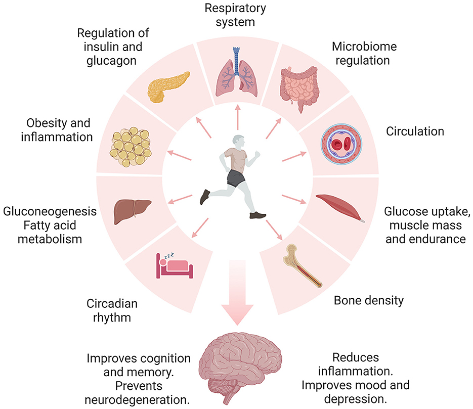 key parameters serve as primary endpoints for evaluating the amelioration of patients afflicted with conditions affecting the brain, spinal cord, and nerves post-Cellular Therapy and Stem Cells at Our Anti-Aging and Regenerative Medicine Center of Thailand