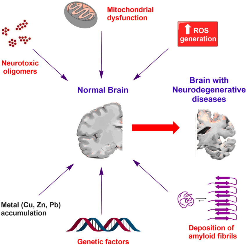 DrStemCellsThailand's Anti-Aging and Regenerative Medicine Center of Thailand to pioneer Cellular Therapy and Stem Cells for Brain, Spinal Cord and Neurodegenerative Diseases