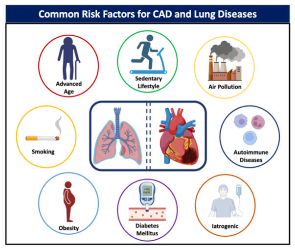 Coronary artery disease (CAD), acute coronary syndrome (ACS), atherosclerosis, and heart attacks are interrelated conditions primarily driven by similar risk factors and underlying mechanisms. 