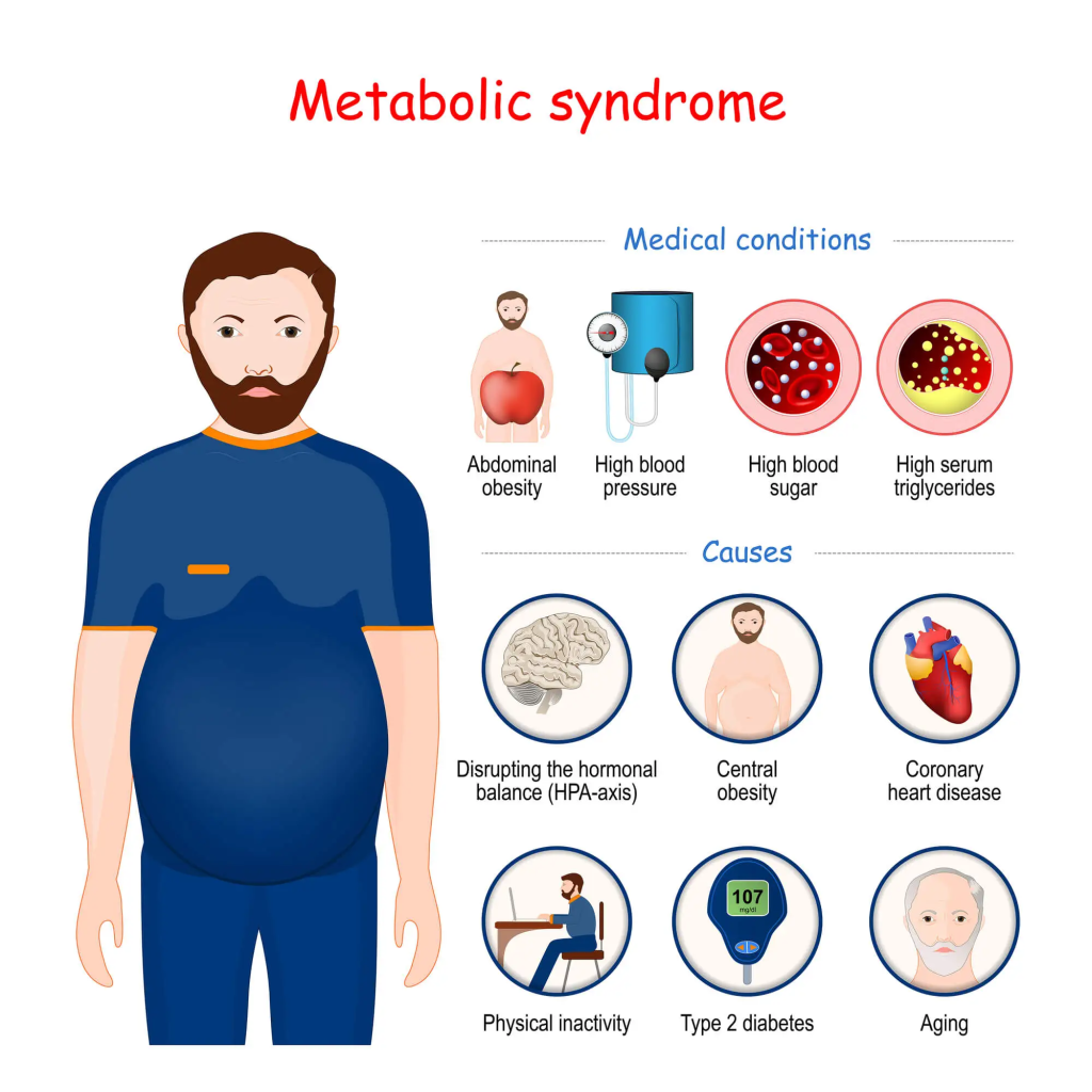 Metabolic disorders encompass a range of conditions that disrupt normal metabolism, leading to issues such as obesity, diabetes, and dyslipidemia. 