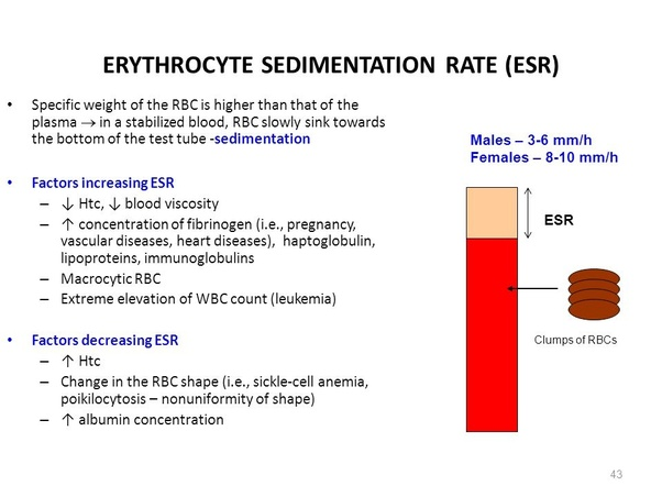 The erythrocyte sedimentation rate (ESR) is a blood test that measures the rate at which red blood cells (erythrocytes) settle at the bottom of a test tube over a specified period