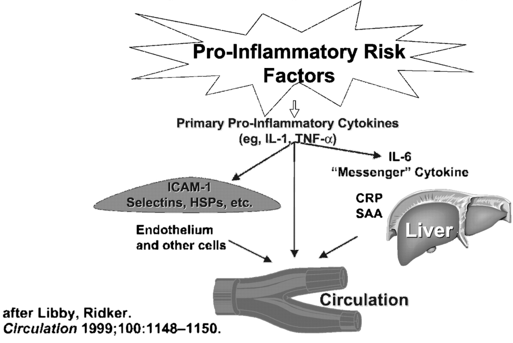 Inflammatory markers are substances in the body that indicate the presence of inflammation. 