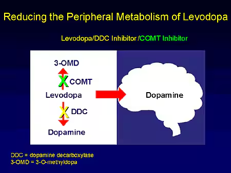 COMT inhibitors like entacapone are used alongside levodopa to block its breakdown, enhancing and prolonging its effects.