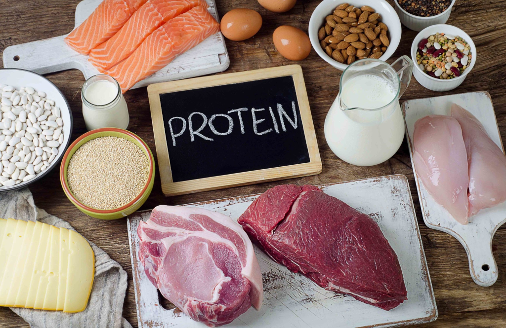 Proteins are large, complex molecules made up of long chains of amino acids. They play critical roles in the body, serving as the building blocks of tissues and performing a wide range of functions essential for life