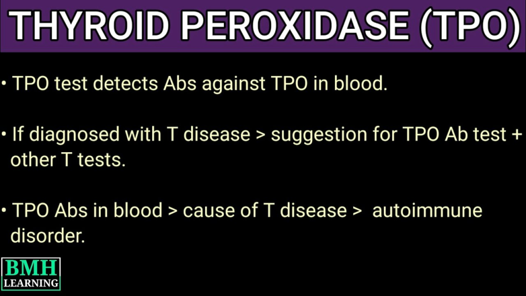 Anti-thyroid peroxidase (anti-TPO) antibodies are autoantibodies that target thyroid peroxidase, an enzyme crucial for the synthesis of thyroid hormones. 