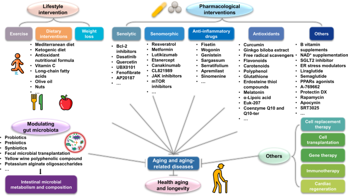 Multidisciplinary Treatments (MT) for Age-Related Degeneration