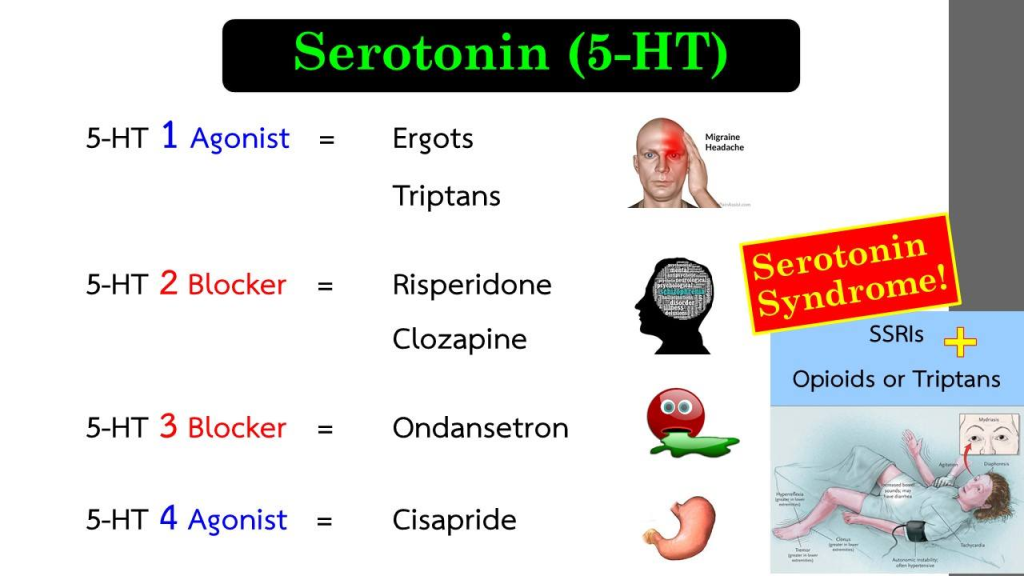 Serotonin, also known as 5-hydroxytryptamine (5-HT), is a crucial neurotransmitter that plays a significant role in regulating mood, appetite, sleep, and various other physiological functions.