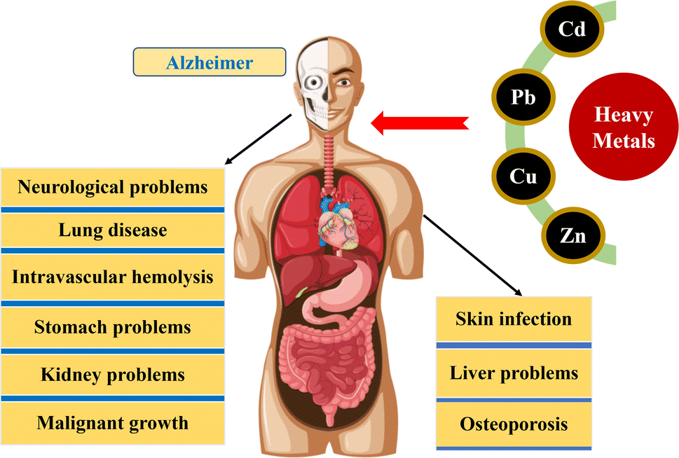 Heavy metals are a group of metallic elements that have high densities and are toxic at low concentrations.