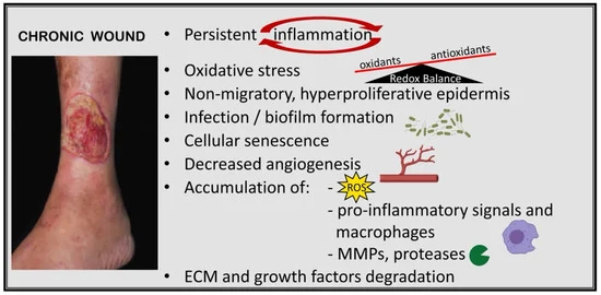 Chronic Skin Ulcers: Chronic ulcers, including venous and diabetic foot ulcers, affect millions worldwide, often leading to prolonged healing and high rates of infection.

Regenerative Cellular Therapy and Stem Cells for Dermatology and Skin Conditions target wound closure, angiogenesis, and tissue remodeling to accelerate recovery.