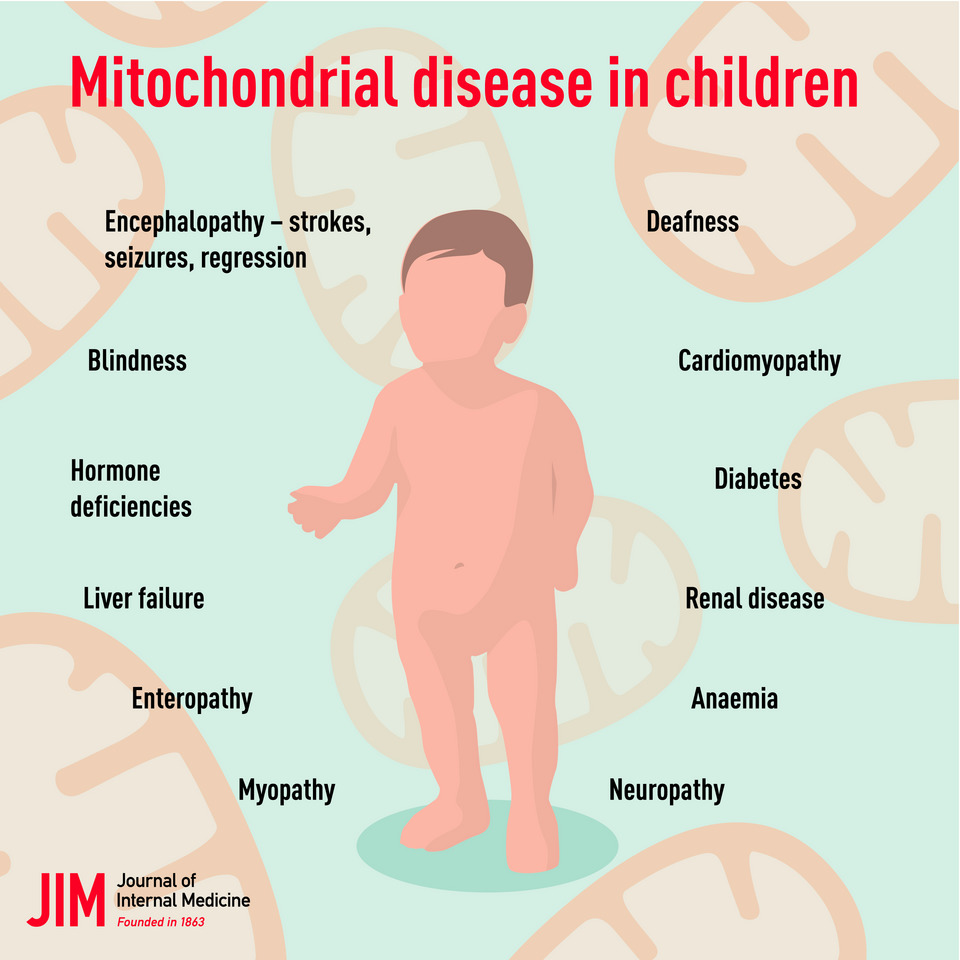 Mitochondrial diseases are a group of genetic disorders caused by dysfunction in mitochondria, the energy-producing structures within cells. 