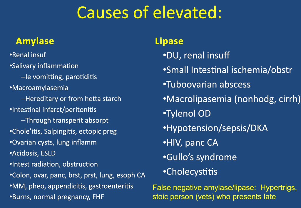 Lipase(Lp) is an enzyme produced primarily by the pancreas that plays a critical role in the digestion of dietary fats. It catalyzes the hydrolysis of triglycerides into free fatty acids and glycerol, facilitating the absorption of dietary lipids in the small intestine.