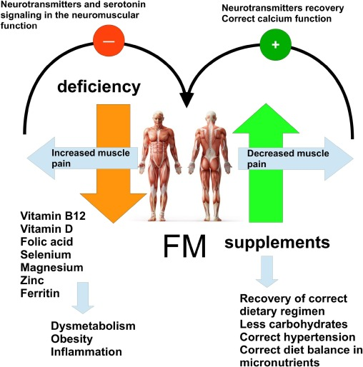 8.4 Fibromyalgia (FM)

- Diagnosis: FM is often misdiagnosed or underdiagnosed due to the lack of specific diagnostic tests and overlapping symptoms with other conditions.

- Treatment Efficacy: Current treatments, including medications, physical therapy, and cognitive behavioral therapy, are only partially effective and do not work for all patients.

- Chronic Pain Management: Effective management of chronic pain remains a significant challenge, impacting patients' quality of life.

- Stigma: FM patients often face stigma and disbelief about the legitimacy of their condition, which can affect their mental health and access to appropriate care.