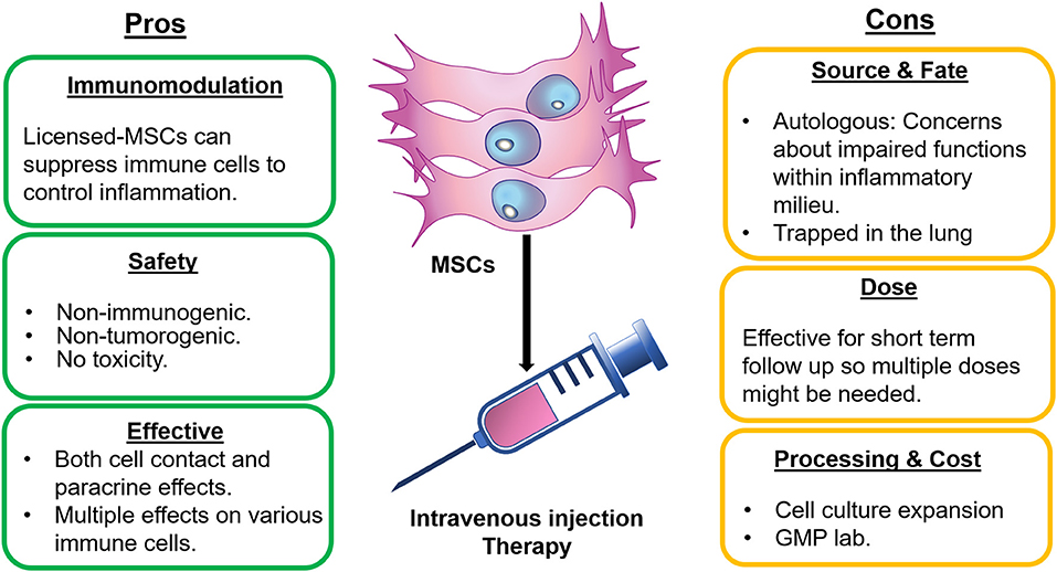 Immune Modulation: Cellular Therapy and Stem Cells for Autoimmune and Connective Tissue Diseases aim to modulate the immune system to reduce pathological immune responses. Hematopoietic stem cells (HSCs) and mesenchymal stem cells (MSCs) are particularly promising in resetting or modulating immune responses in diseases like Systemic Lupus Erythematous (SLE) and Multiple Sclerosis (MS)/Encephalomyelitis Disseminata.