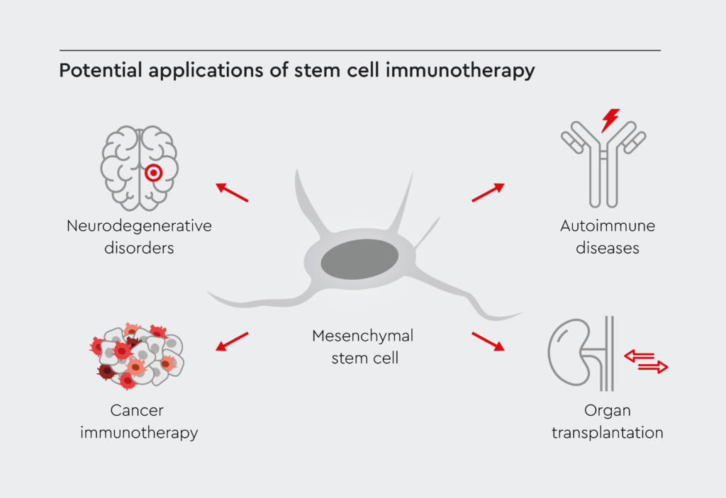 Primary Mechanisms of Transplanted Cellular Therapy and Stem Cells for Autoimmune and Connective Tissue Diseases utilizing Organ-Specific Progenitor Stem Cells in patients all around the world at Our Anti-Aging and Regenerative Medicine Center of Thailand