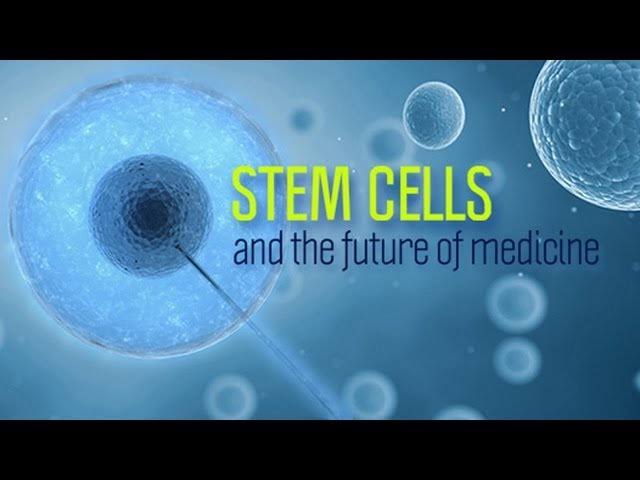 Cellular Therapy and Stem Cells for Digestive Tract Diseases, particularly utilizing Esophagus, Stomach, Intestinal, and Colon Progenitor Stem Cells (ESIC-PSCs) at Our Anti-Aging and Regenerative Medicine Center of Thailand, represents a groundbreaking advancement in the field of regenerative medicine for gastrointestinal disorders