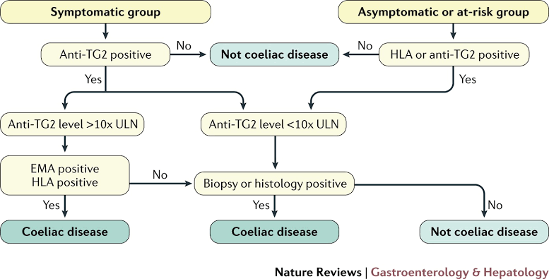 Celiac Disease
- Anti-tissue transglutaminase (anti-tTG) antibodies

- Anti-endomysial antibodies (EMA)

- Total serum IgA levels

- Serum levels of deamidated gliadin peptide (DGP)

- Intestinal biopsy histology (Marsh classification)