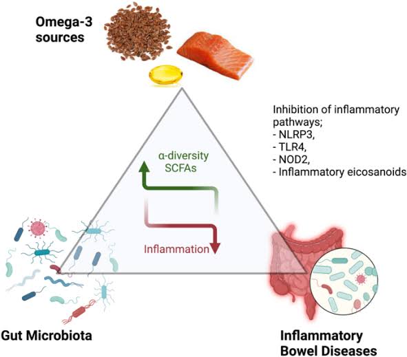 Lifestyle modifications strive to mitigate systemic inflammation and bolster gut health in individuals navigating IBD.