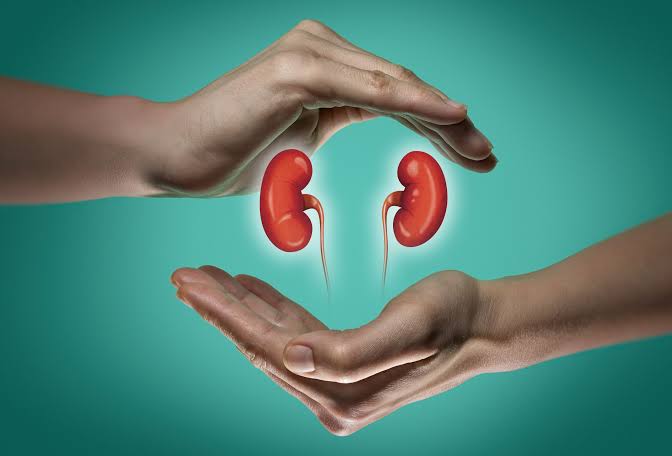 Kidney diseases represent a significant global health burden, affecting millions of individuals and posing formidable challenges to medical professionals worldwide. From chronic conditions like Chronic Kidney Diseases (CKD), Diabetic Nephropathy (DN), Familial Focal Segmental Glomerulosclerosis (fFSGS), Polycystic Kidney Disease (PKD), to Acute Kidney Injury (AKI)